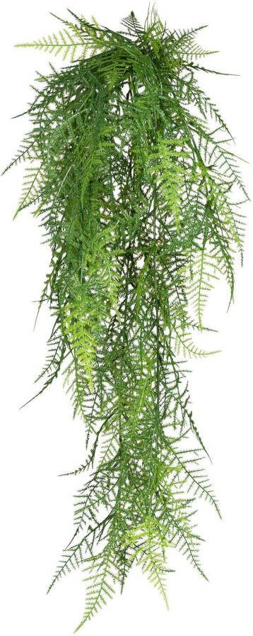 Creativ green Kunstplant Hanger Asparagus plumosus (1 stuk) - Foto 2