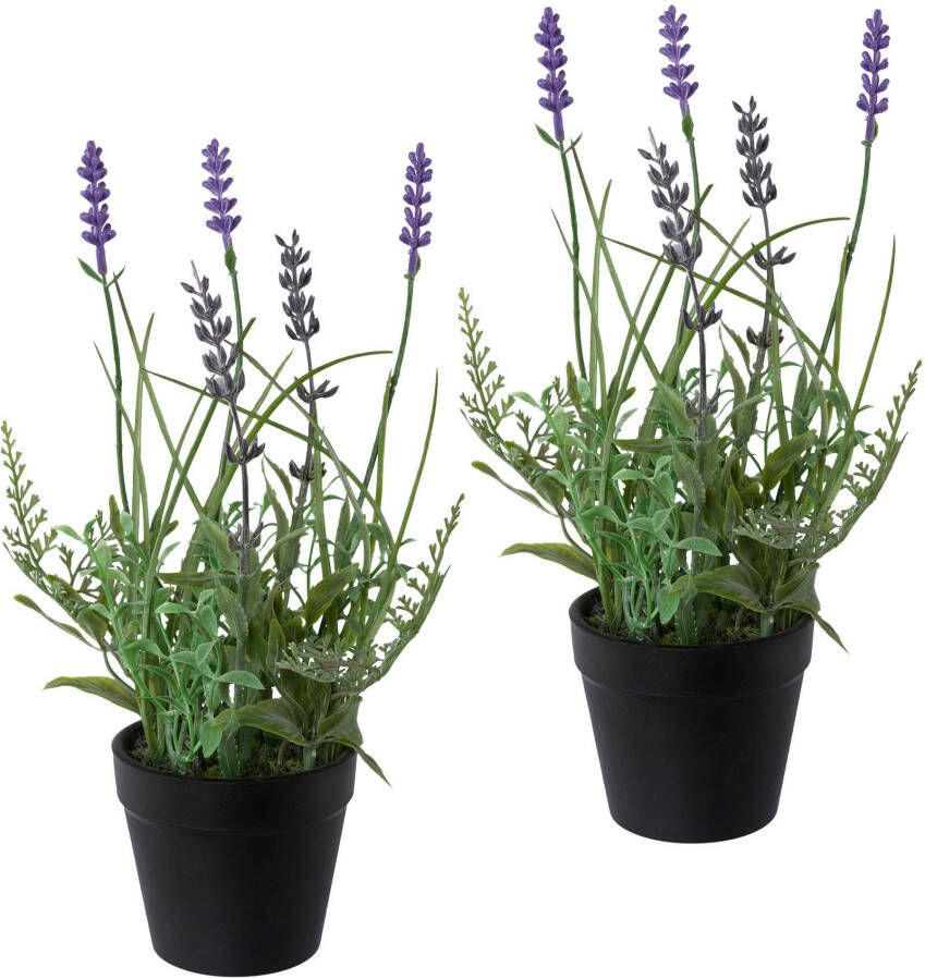 Creativ green Kunstplant Lavendel set van 3 in een plastic pot (3 stuks) - Foto 2