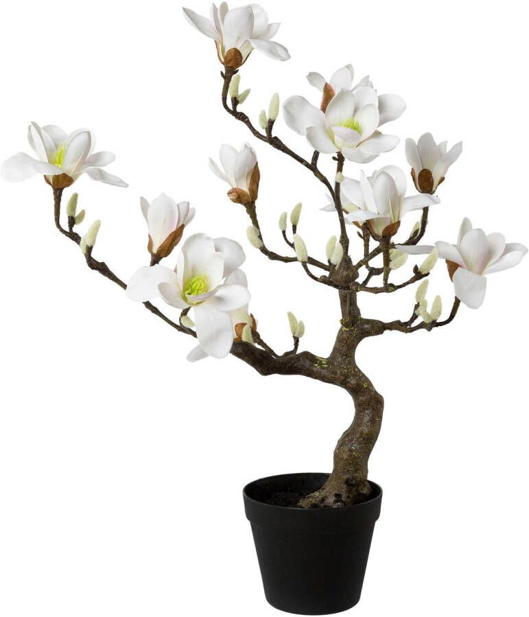 Creativ green Kunstplant Magnoliaboom in een plastic pot (1 stuk)