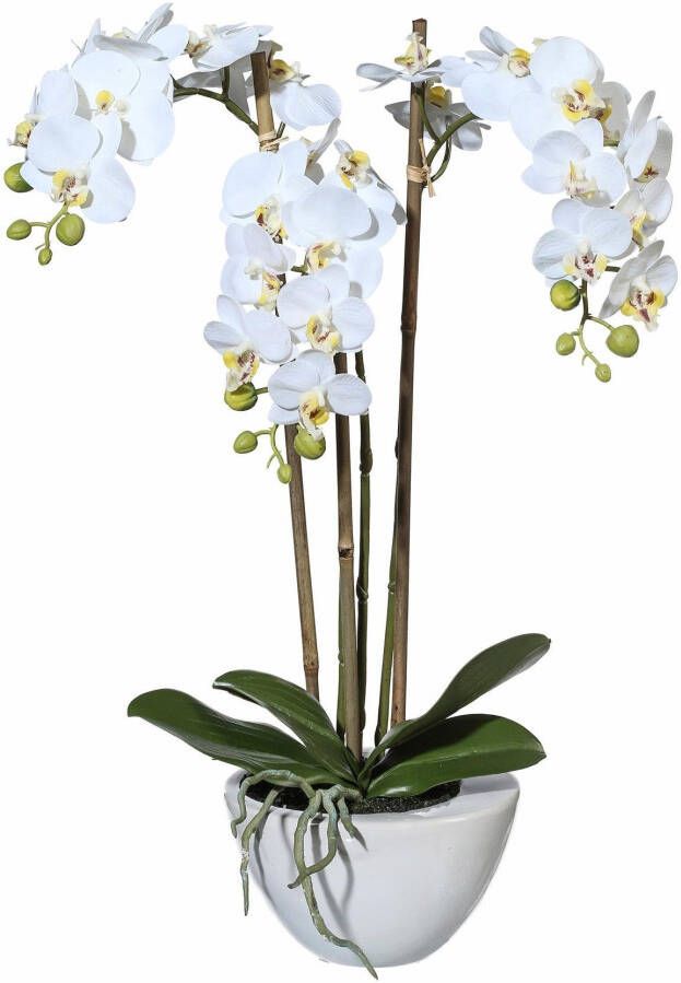 Creativ green Kunstplant Mini orchidee (1 stuk) - Foto 1