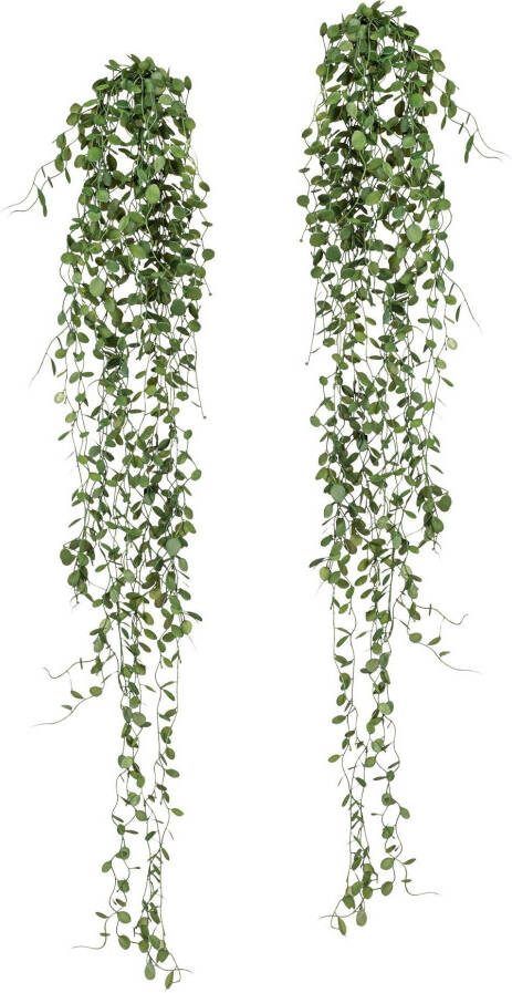 Creativ green Kunstplant Mühlenbeckia-hanger (2 stuks)