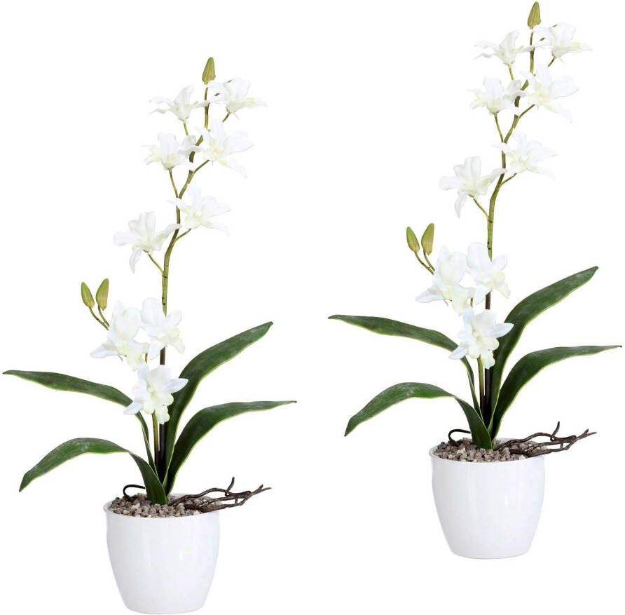 Creativ green Kunstplant Orchidee Dendrobie in een keramische pot (set 2 stuks) - Foto 1
