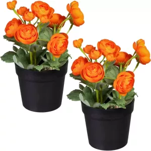 Creativ green Kunstplant Ranonkel in een set van 2 (2 stuks)