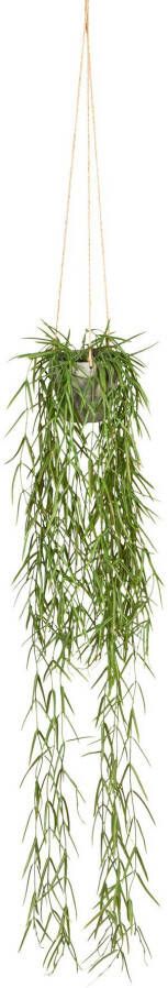 Creativ green Kunstplant Tillandsia aeranthos in een hangende pot (1 stuk)
