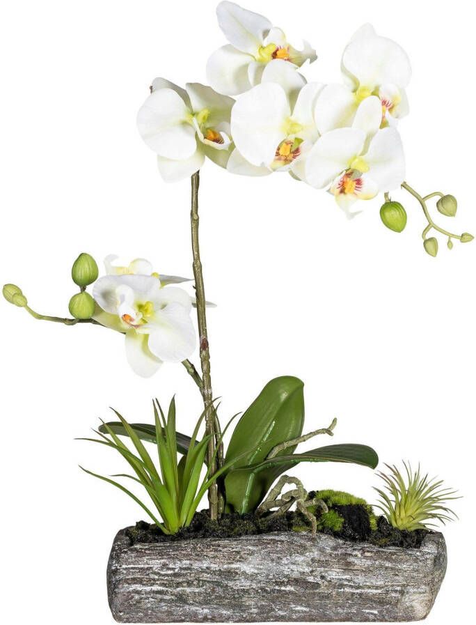 Creativ green Kunstplant Vlinderorchidee (1 stuk) - Foto 2
