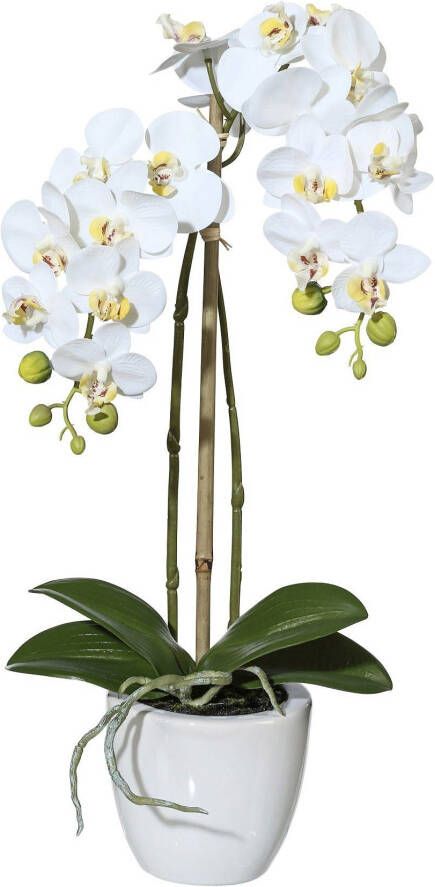 Creativ green Kunstplant Vlinderorchidee in een keramische pot (1 stuk) - Foto 1