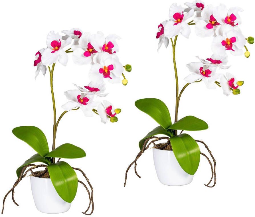 Creativ green Kunstplant Vlinderorchidee in een keramische pot (set 2 stuks) - Foto 1
