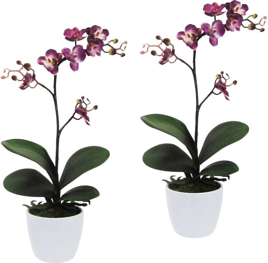 Creativ green Kunstplant Vlinderorchidee in een keramische pot (set 2 stuks) - Foto 1