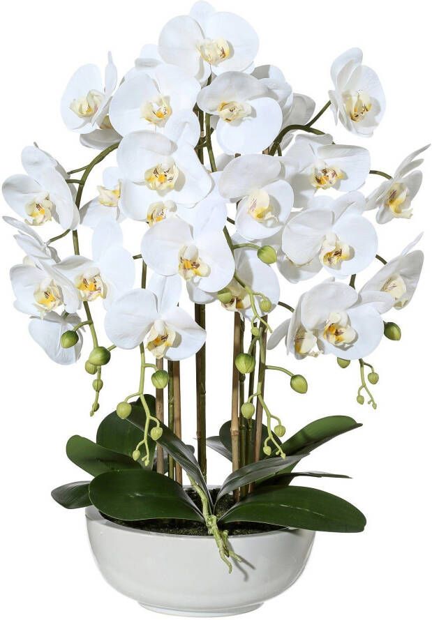 Creativ green Kunstplant Vlinderorchidee in keramische kom (1 stuk) - Foto 1