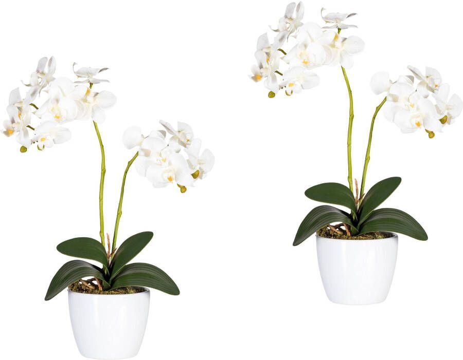 Creativ green Kunstplant Vlinderorchidee (set 2 stuks) - Foto 1