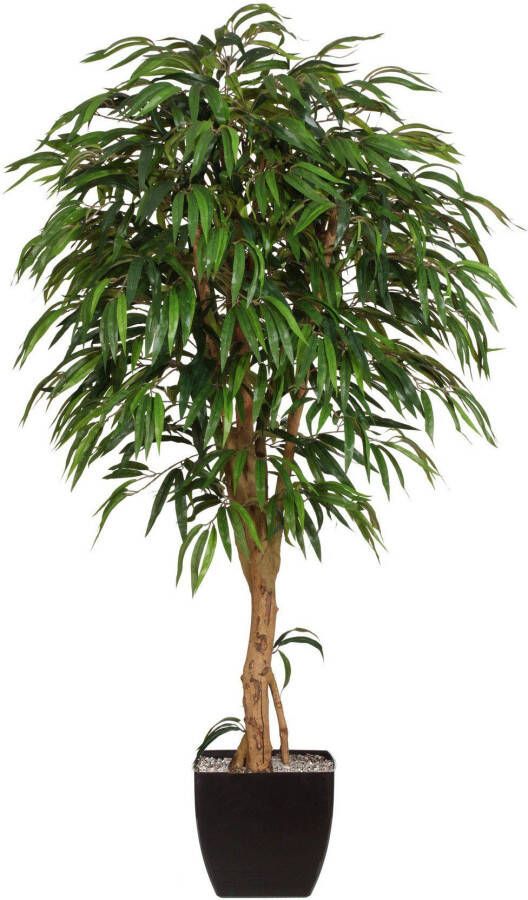 Creativ green Kunstplant Weeping-ficus (2-delig)