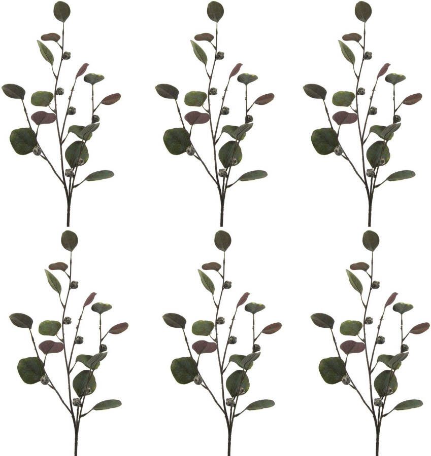 Creativ green Kunsttak Eucalyptustak (set) - Foto 1