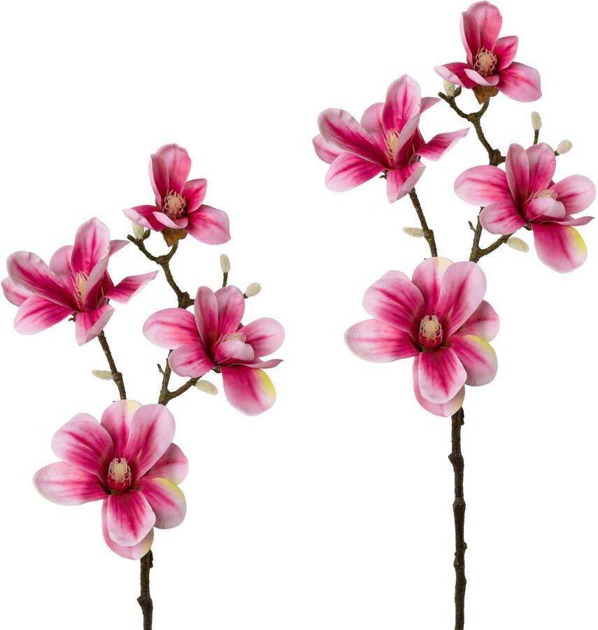 Creativ green Kunsttak Tak magnolia (2 stuks) - Foto 2