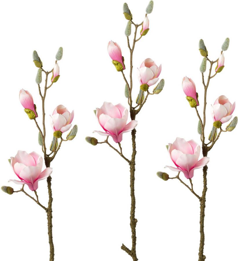 Creativ green Kunsttak Tak magnolia (3 stuks) - Foto 2
