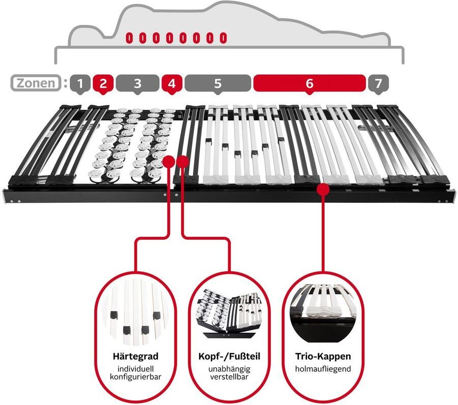 DELAVITA Lattenbodem Müritz 90x200 140x200 cm en andere maten Lattenbodem voor alle matrassen duurzaam ergonomisch 7-zone (1 stuk)
