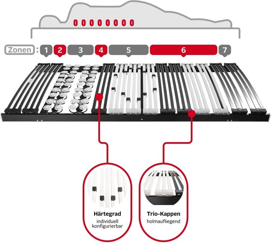 DELAVITA Lattenbodem Müritz 90x200 140x200 cm en andere maten Lattenbodem voor alle matrassen duurzaam ergonomisch 7-zone (1 stuk)