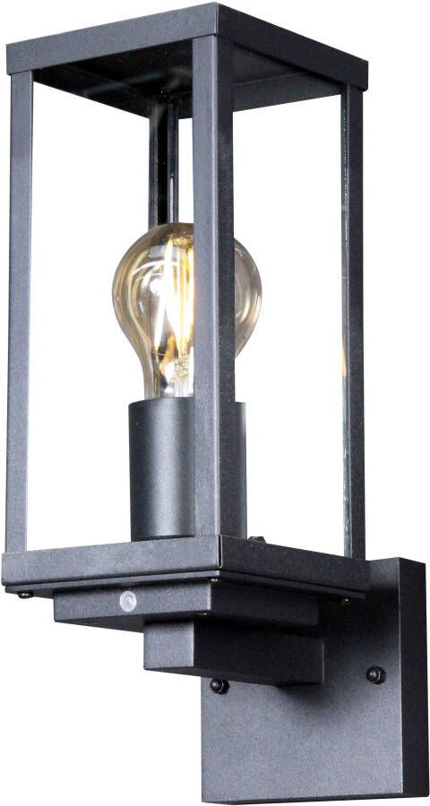 ECO-LIGHT Wandlamp voor buiten Geruit (1 stuk)