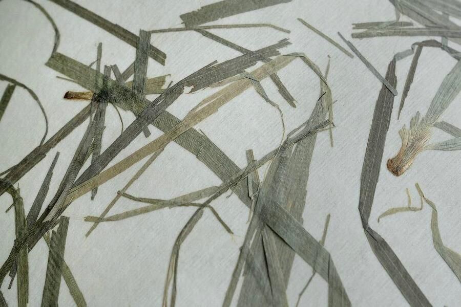 EGLO Plafondlamp OXPARK Plafondlamp Japandi ontwerp woonkamerlamp textiel bamboe bladeren (1 stuk) - Foto 3