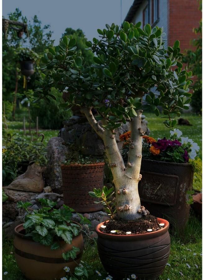 EGLO Led-lichtsnoer SPINETOLI 2 Vloerlamp in transparant kunststof 6X0 4W Warmwit (1 stuk)