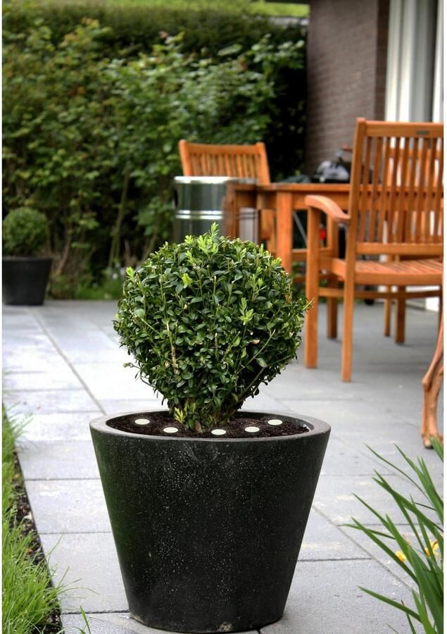 EGLO Led-lichtsnoer SPINETOLI 2 Vloerlamp in transparant kunststof 6X0 4W Warmwit (1 stuk) - Foto 3