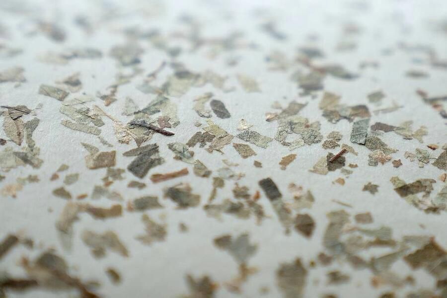 EGLO Staande lamp BUTTERBURN Stehlampe Stahl und Textil Wohnzimmerlampe E27 Lampe Vloerlamp met berkenbladeren vloerlamp 162 cm (1 stuk) - Foto 4