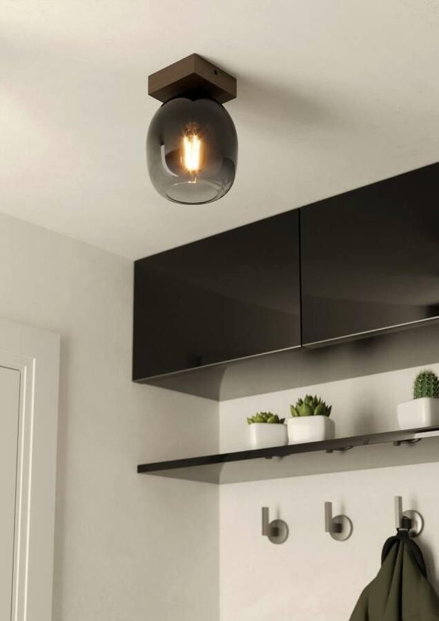 EGLO Plafondlamp FILAGO Plafondlamp bruin en zwart-transparant FSCM70PA E27 fitting (1 stuk) - Foto 5