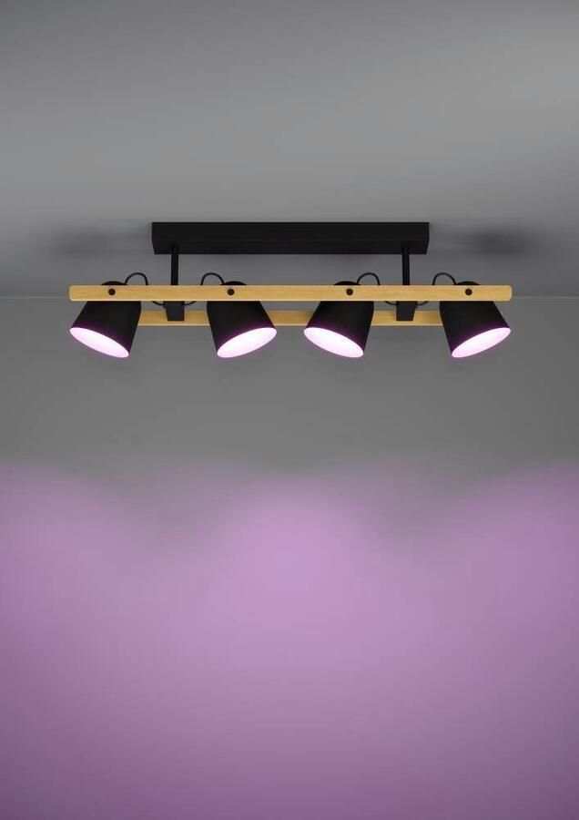 EGLO Plafondlamp HORNWOOD-Z FSCM70HB ZigBee app en spraakbesturing Alexa RGB dimbaar 78 cm (1 stuk) - Foto 3