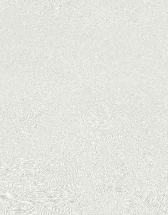 Erismann Vliesbehang PVC-vrije vliesbehang MADOC (1 stuk) - Foto 2