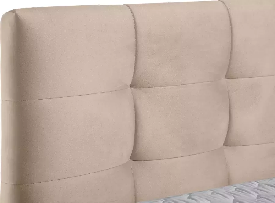 Andas Boxspring Salo XXL in fluwelige look of structuurstof 6 breedten in extra lang 220 cm 4 hardheden