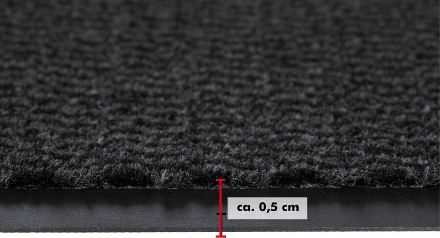 Andiamo Mat Easy Made in Netherlands Inloopmat antislip binnen- en overdekte buitenruimte - Foto 8