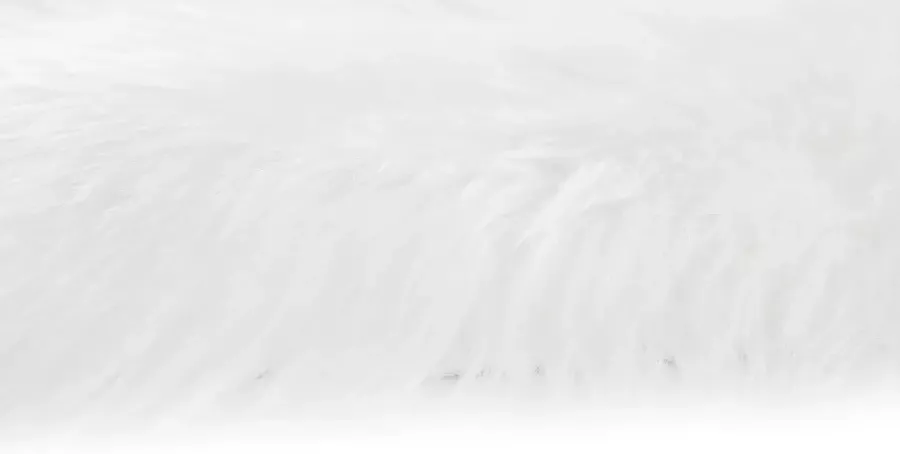 Andiamo Vachtvloerkleed Ovium Imitatiebont afm. 55x80 cm zachte hoge pool - Foto 6