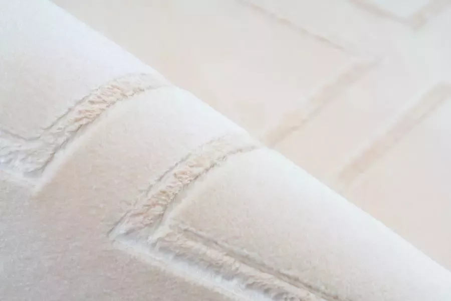 ARTE ESPINA Vloerkleed Monroe 300 bijzonder zacht door microvezel woonkamer - Foto 3