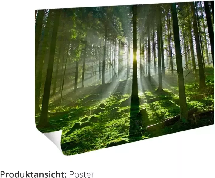 Artland Artprint Blik uit het venster Beierse Alpen als artprint van aluminium artprint voor buiten artprint op linnen poster muursticker - Foto 3