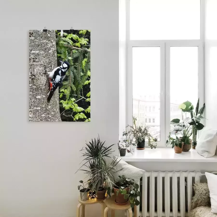 Artland Poster Bonte specht in het bos