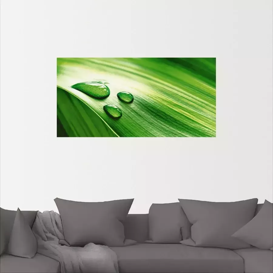 Artland Poster Close-up van een groen plantenblad als artprint op linnen muursticker of poster in verschillende maten - Foto 2