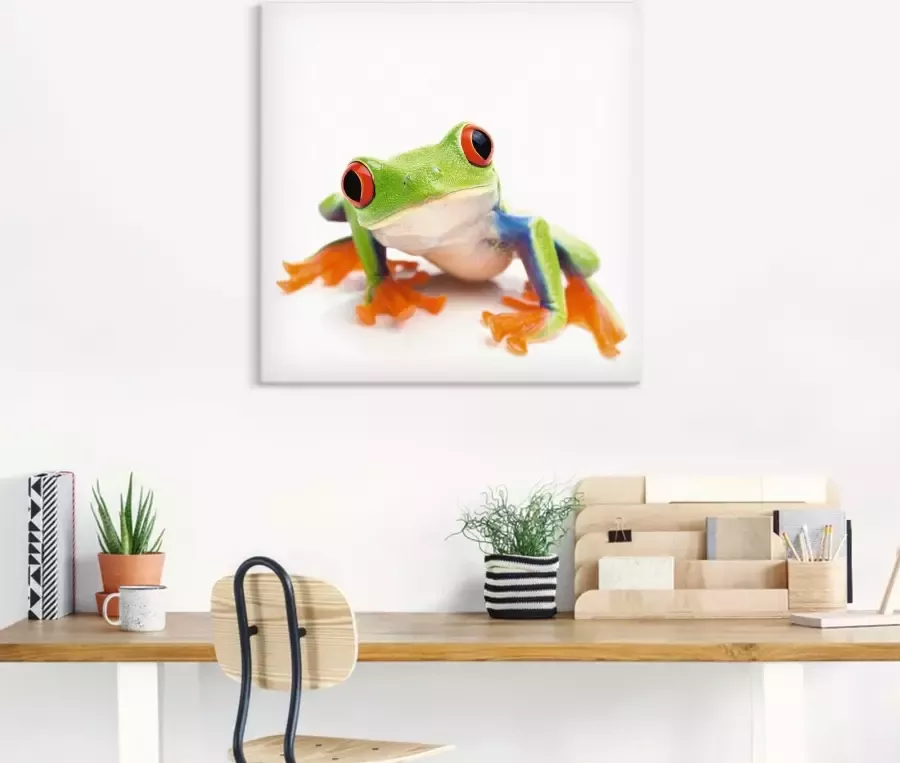 Artland Artprint Close up van een kikker voor wit als artprint van aluminium artprint voor buiten artprint op linnen in verschillende maten - Foto 5