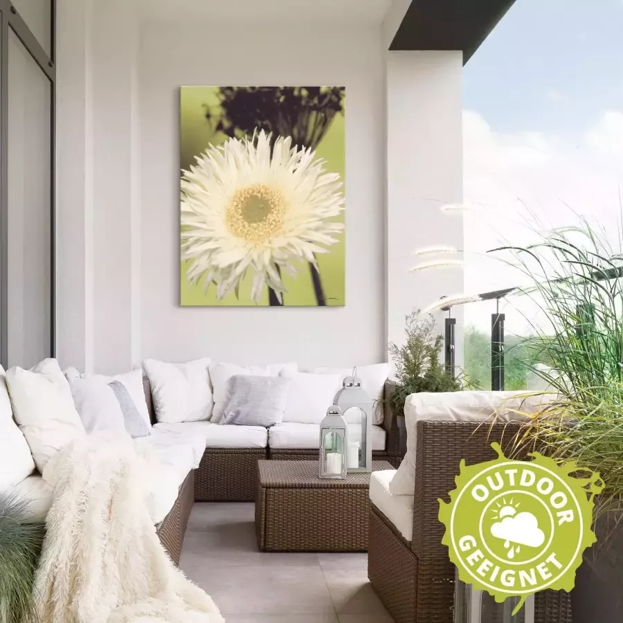 Artland Artprint op linnen Een voor groen gerbera gespannen op een spieraam