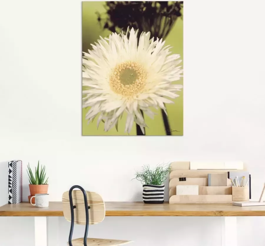 Artland Artprint op linnen Een voor groen gerbera gespannen op een spieraam - Foto 5
