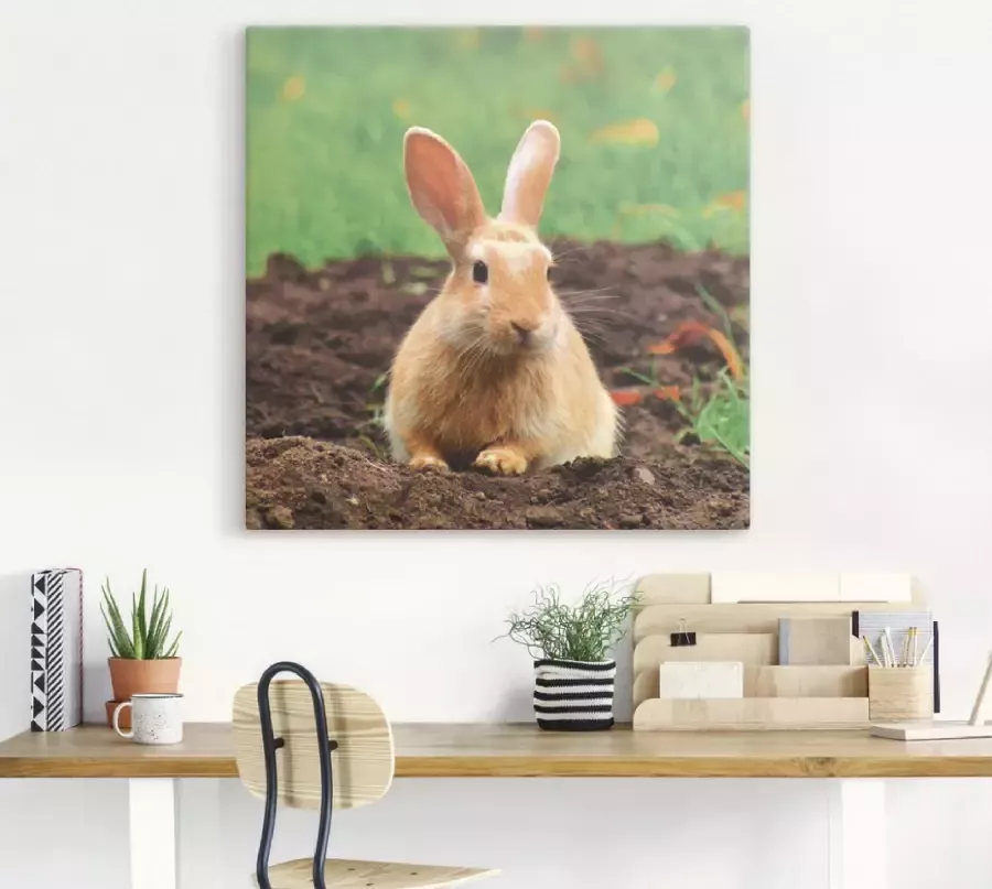 Artland Artprint Gelukkig dwergkonijntje als artprint op linnen muursticker in verschillende maten - Foto 2