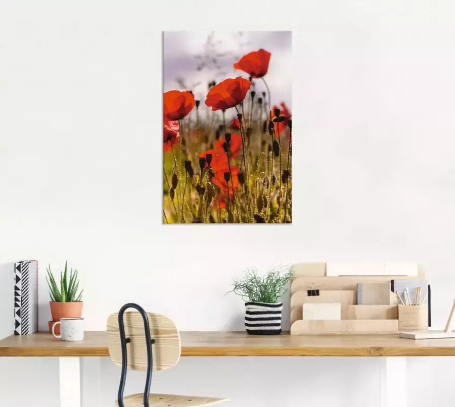 Artland Artprint Klaprozen in ochtendlicht als artprint van aluminium artprint voor buiten artprint op linnen poster in verschillende maten. maten - Foto 4