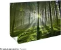 Artland Artprint Meeuwen in vele afmetingen & productsoorten artprint van aluminium artprint voor buiten artprint op linnen poster muursticker wandfolie ook geschikt voor de badkamer (1 stuk) - Thumbnail 4