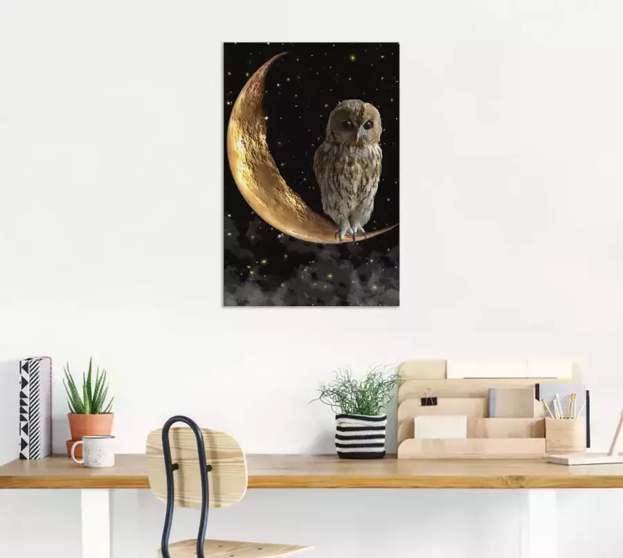 Artland Artprint Nachtuil als artprint van aluminium artprint voor buiten artprint op linnen poster in verschillende maten. maten - Foto 4