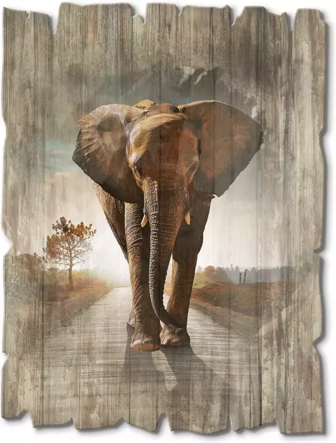 Artland Artprint op hout Een olifant loopt op de weg - Foto 2