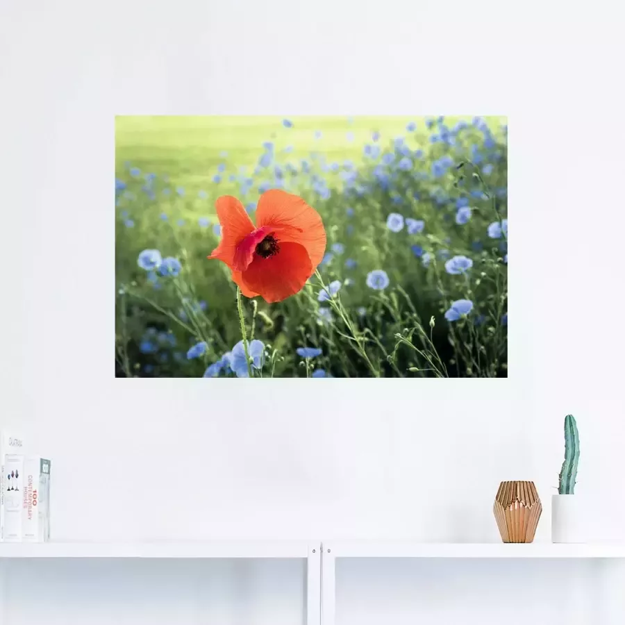 Artland Artprint op linnen Papaver III gespannen op een spieraam