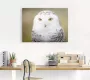 Artland Artprint Sneeuwuil in vele afmetingen & productsoorten -artprint op linnen poster muursticker wandfolie ook geschikt voor de badkamer (1 stuk) - Thumbnail 3