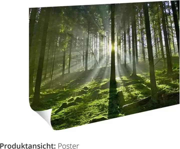 Artland Artprint Waterval bij Kandersteg in vele afmetingen & productsoorten artprint van aluminium artprint voor buiten artprint op linnen poster muursticker wandfolie ook geschikt voor de badkamer (1 stuk)