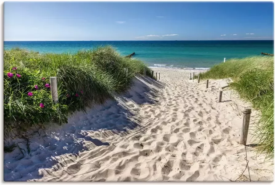 Artland Artprint Weg naar het strand aan de Oostzee als artprint van aluminium artprint voor buiten artprint op linnen poster muursticker - Foto 3