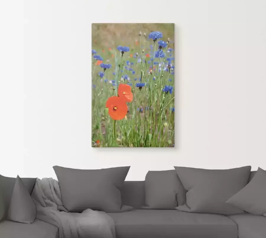 Artland Artprint op linnen Weide met klaprozen en korenbloemen