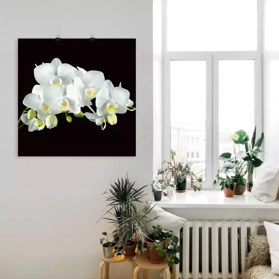 Artland Artprint Witte orchidee op een zwarte achtergrond als artprint op linnen poster muursticker in verschillende maten - Foto 1