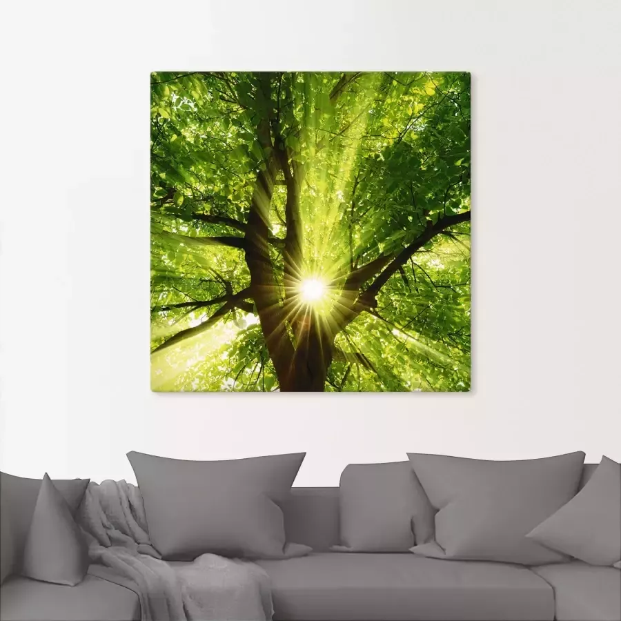 Artland Artprint Zon straalt explosief door de boom als artprint op linnen poster muursticker in verschillende maten